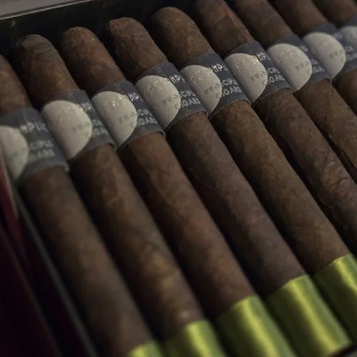 Accomplice Maduro Toro bx20