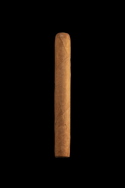 Meerapfel FR Machetero Corona Gorda bx 50