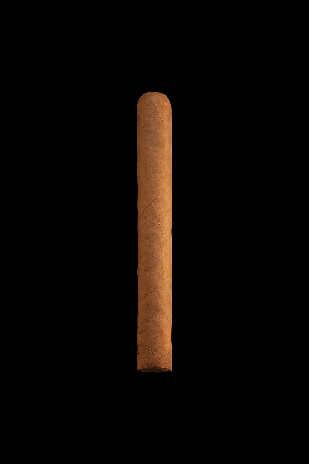 Meerapfel FR Machetero DBL Corona bx 50