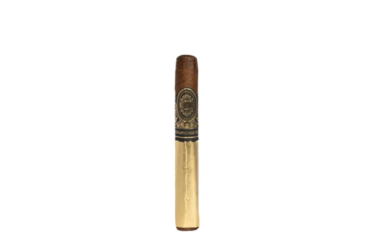 Notorious Unapolagetic Toro bx10
