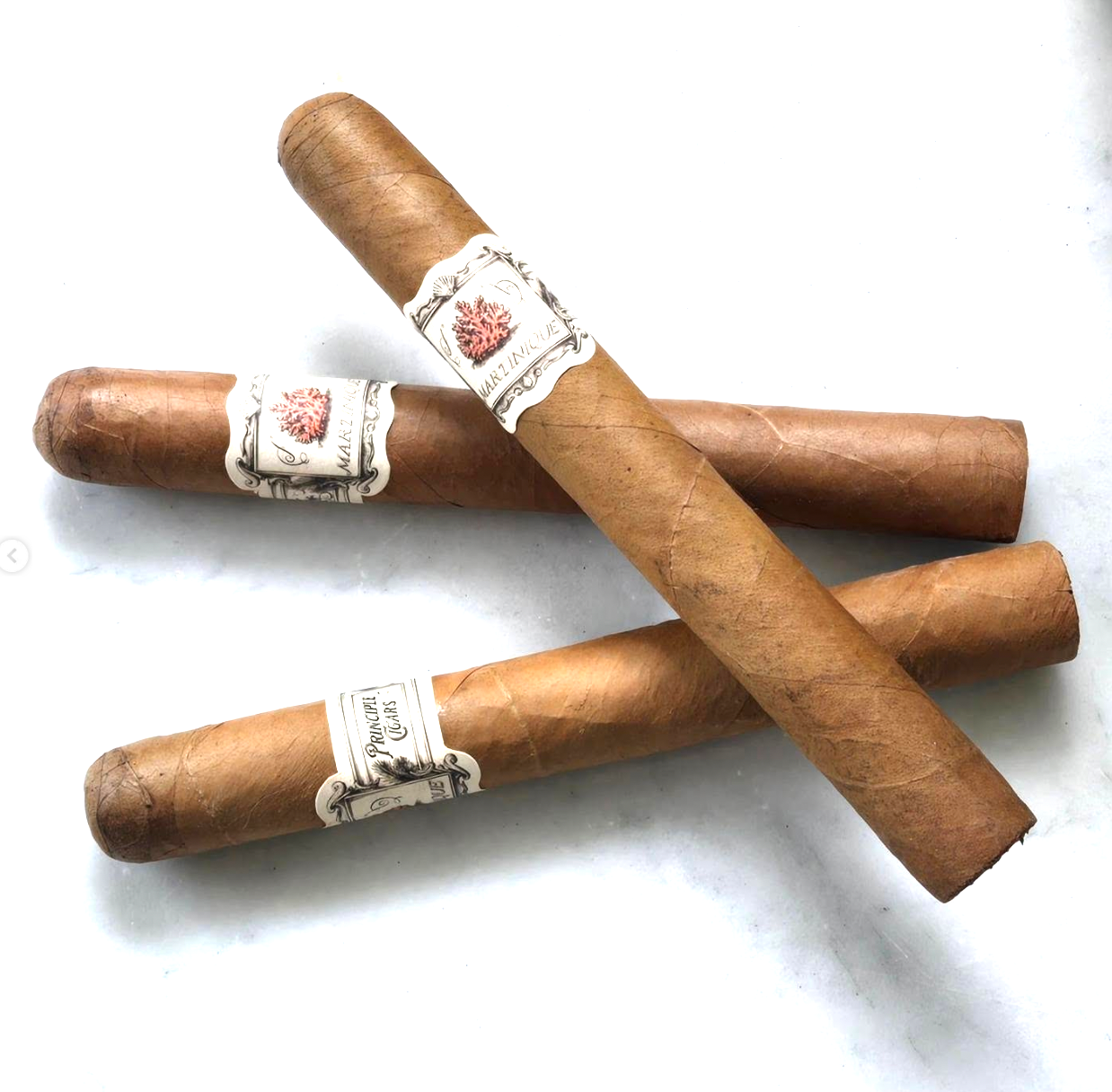 Principle Martinique lancero bx20