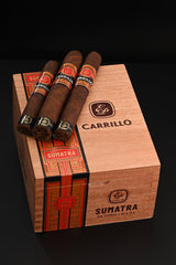EPC Essence Sumatra Robusto bx24 - Industrial Cigar Co.