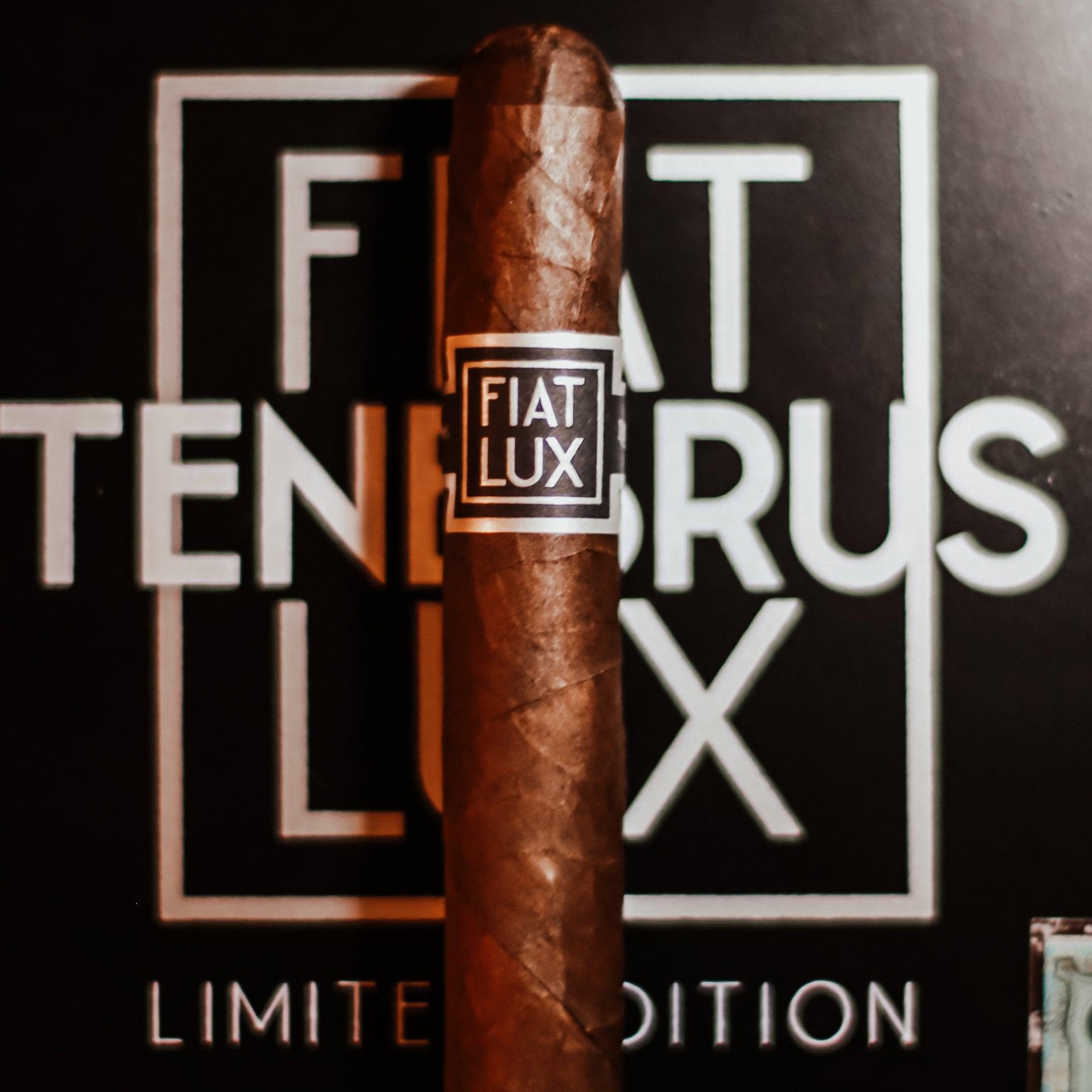 Fiat Lux Tenebris Maduro – Industrial Cigar Co.