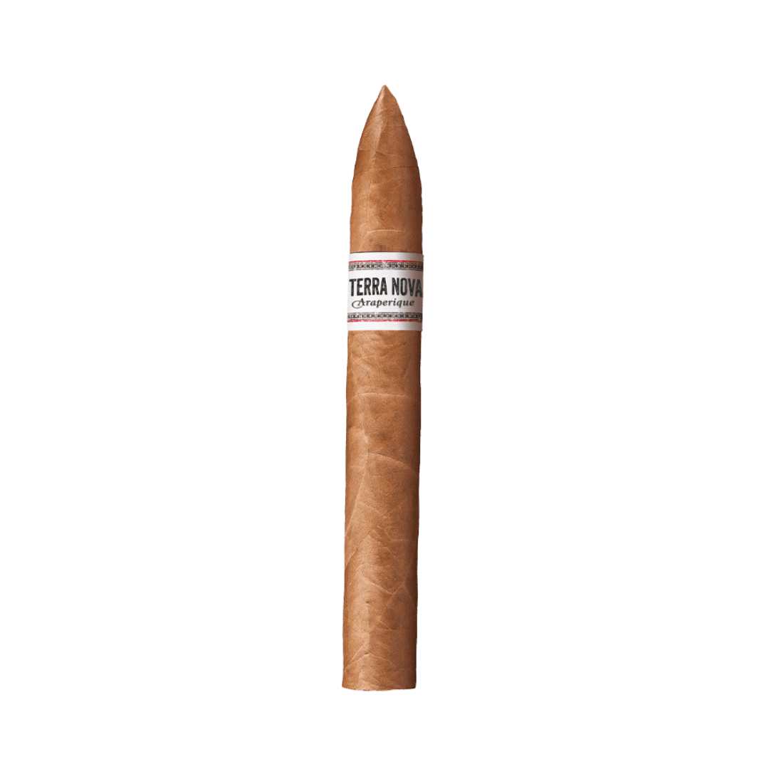 United Terra Nova Araperique Beli bx20 - Industrial Cigar Co.