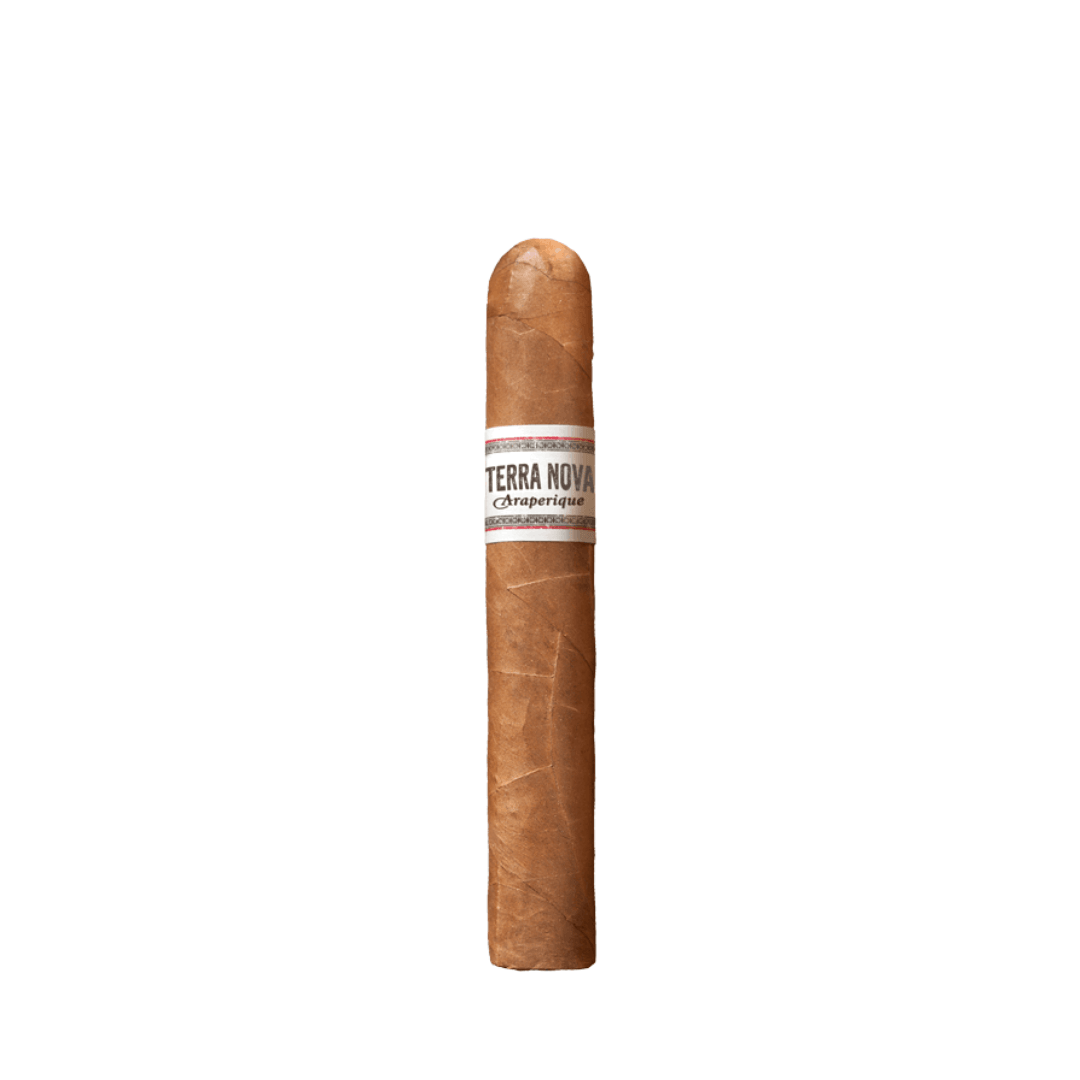 United Terra Nova Araperique Rob bx20 - Industrial Cigar Co.